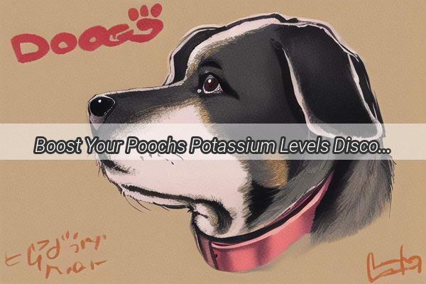 Boost Your Poochs Potassium Levels Discover the Ultimate BloodBoosting Doggie Diet